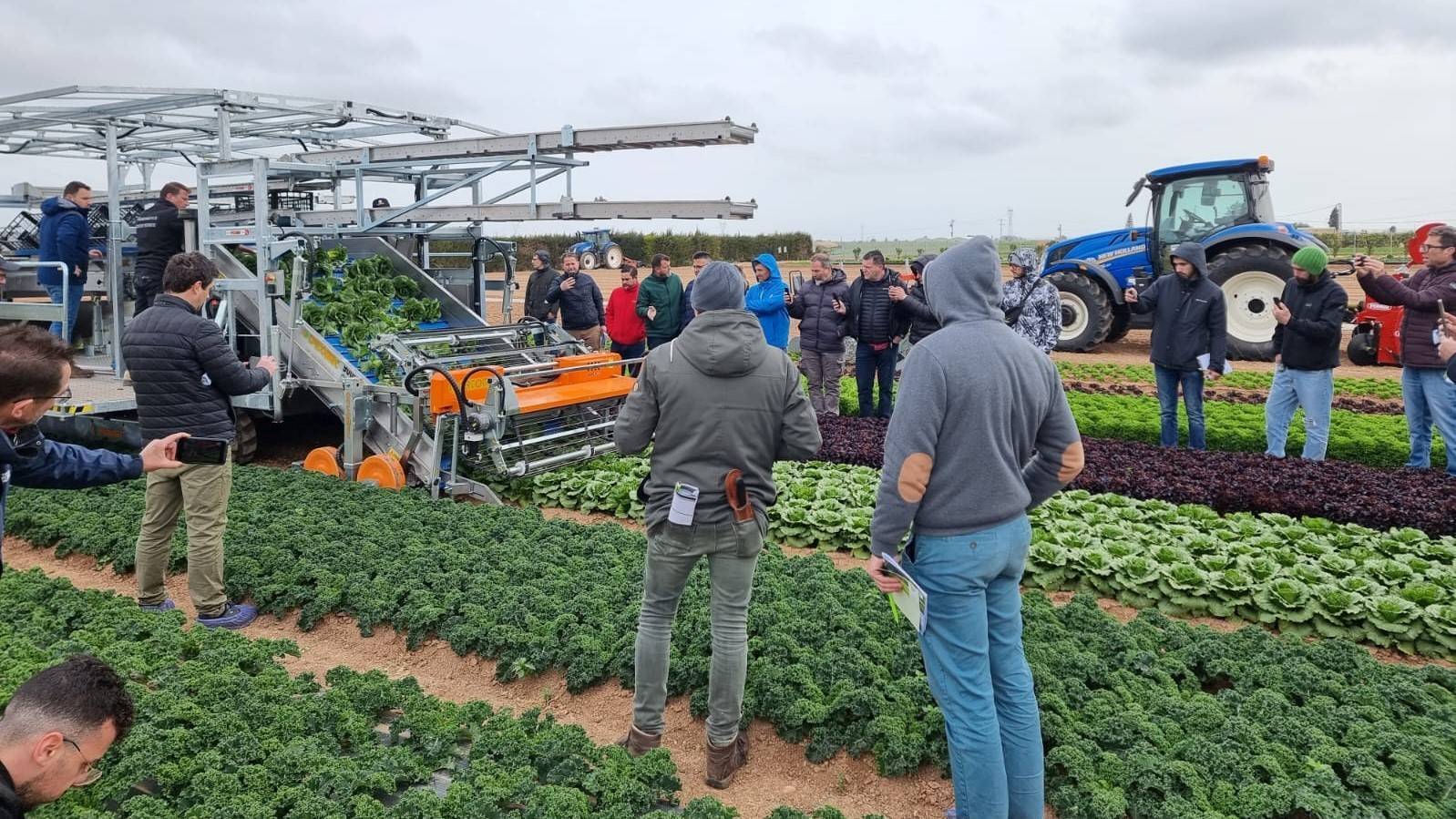 rijk Zwaan Cartagena ortomec|rijk Zwaan Cartagena forigo|rijk Zwaan Cartagena ferrari|rijk Zwaan Cartagena ortomec|rijk Zwaan Cartagena forigo|ferrari remoweed|victor Ibarra lorca